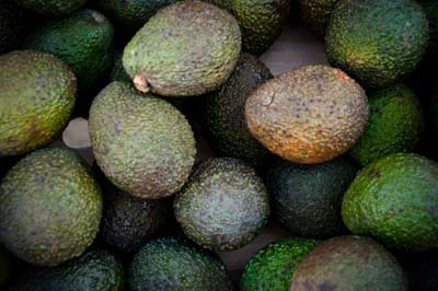 Avocado (4).jpg