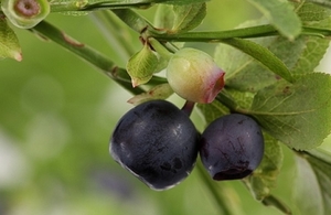 r׃[̈ĕ AbĂ̊ɒӂ܂