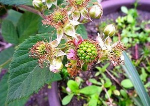 ubNx[̈ĕ AbJオ͎nT܂