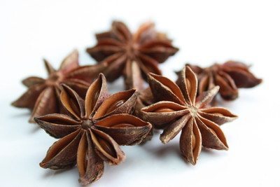 Illicium verum (2).jpg