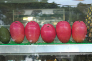 �}���S�[�̈�ĕ��b���x�Ɛ����̊Ǘ����|�C���g