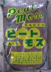 Peat moss.jpg