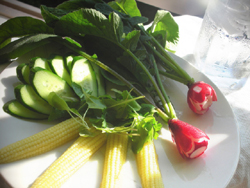 Radish3.jpg