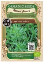 Winter Savory.jpg
