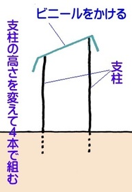ameyoke.jpg