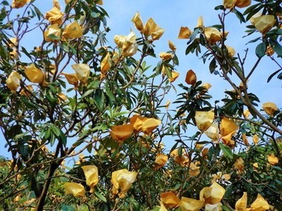 biwa07.jpg