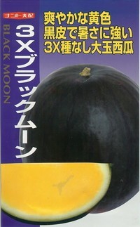 black moon.jpg