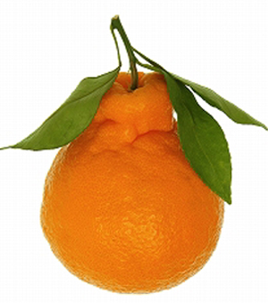 dekopon1.jpg