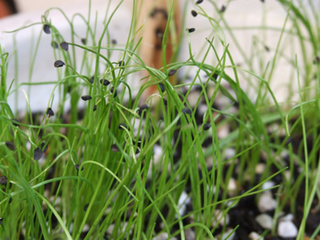 �t�l�M�̃v�����^�[�͔|�b�N�Ԃ�ʂ��Ď��n���\�ł��I