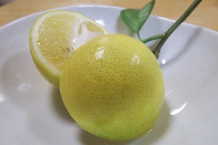 lemon (2).jpg