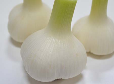 ninniku (7).jpg