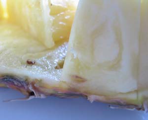 pineapple (1).jpg