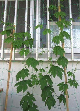 sityu001.jpg