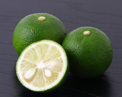 sudati006.jpg