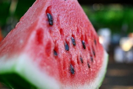 スイカ 水の与え過ぎ