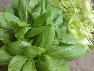 �`���Q���T�C�̃v�����^�[�͔|�b��ĕ��̃R�c�͂��܂߂Ȑ����