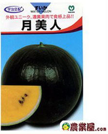 tukibijin.jpg